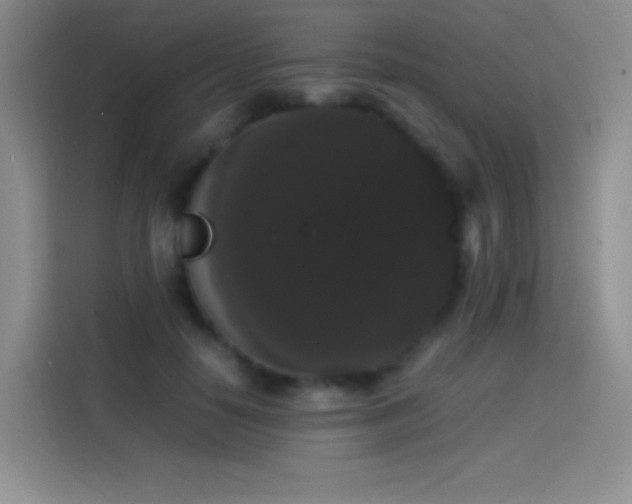 X0000113850650200910011002