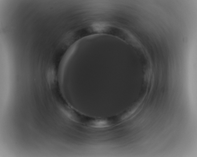 X0000113850651200910011002