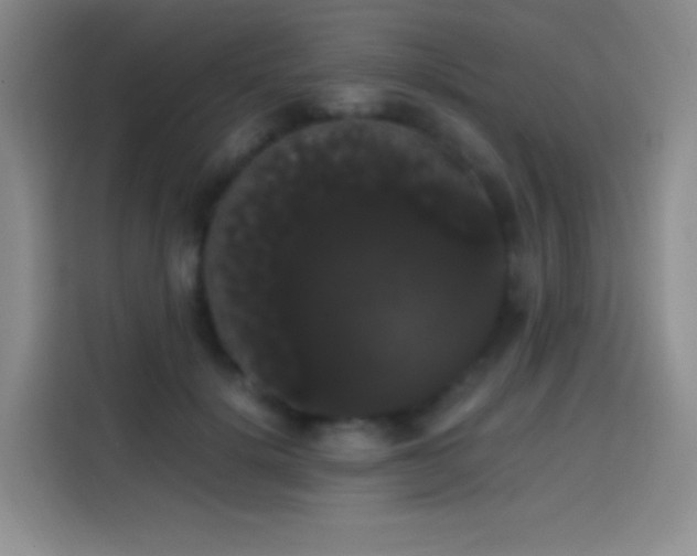 X0000113850652200910011002