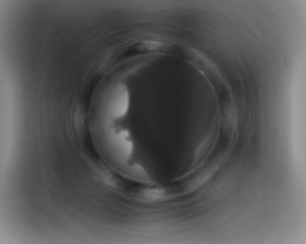 X0000113850653200910011002