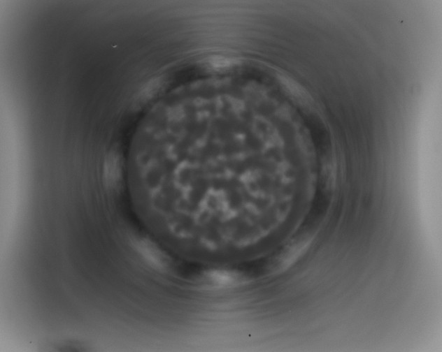 X0000113850654200910011002