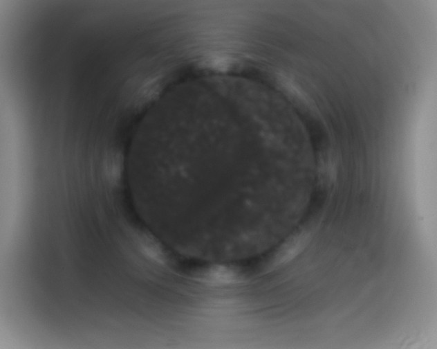 X0000113850656200910011002