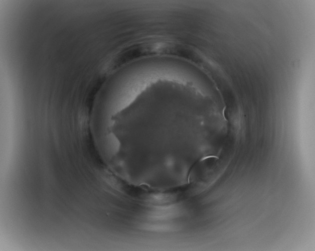 X0000113850657200910011002