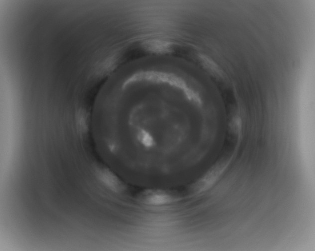 X0000113850658200910011002