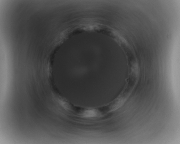 X0000113850659200910011002