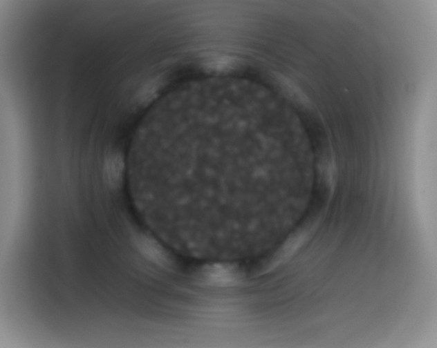 X0000113850660200910011002