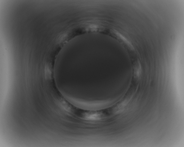 X0000113850661200910011002