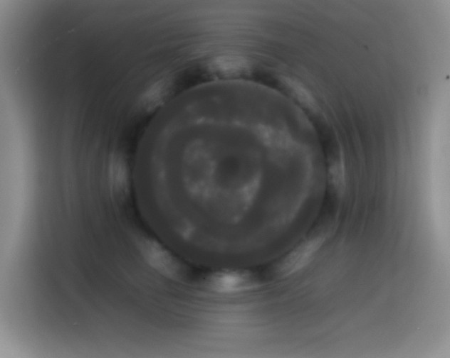 X0000113850662200910011002