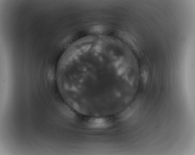 X0000113850665200910011002