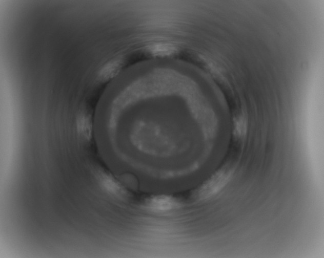 X0000113850666200910011002