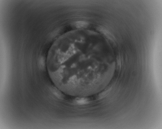 X0000113850667200910011002