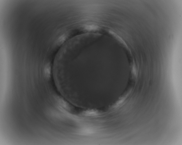 X0000113850668200910011002