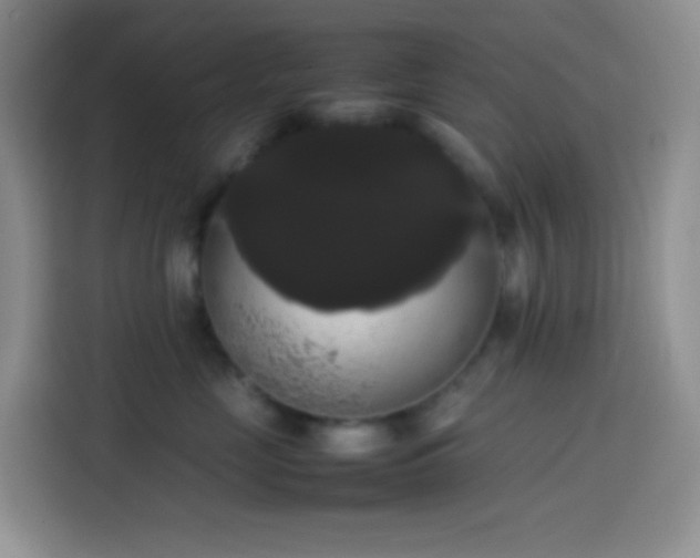 X0000113850669200910011002