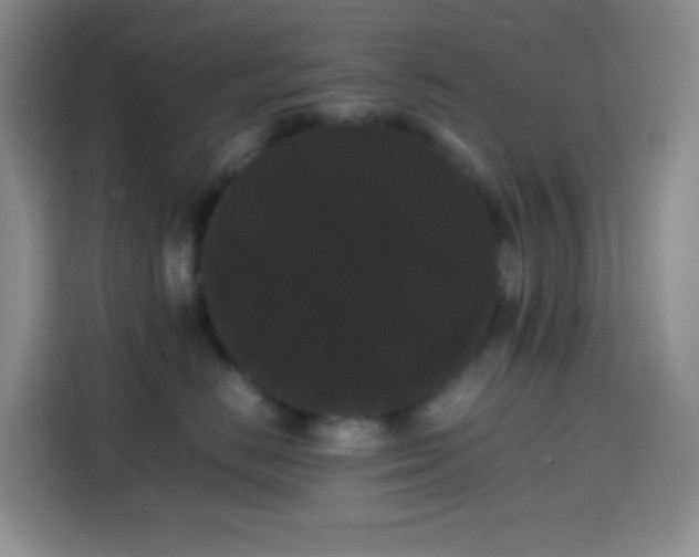 X0000113850670200910011002