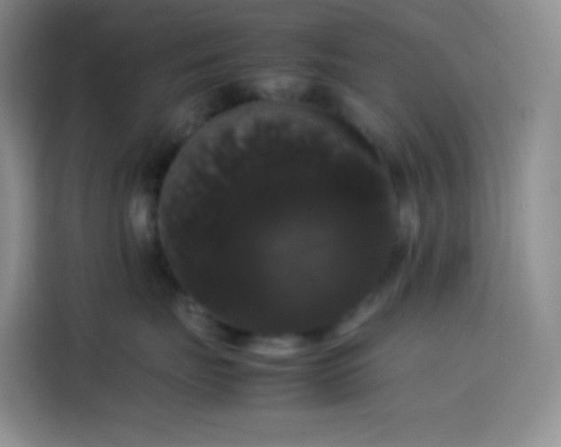 X0000113850671200910011002