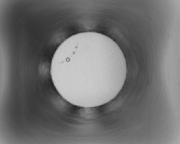 X0000113850672200910011002