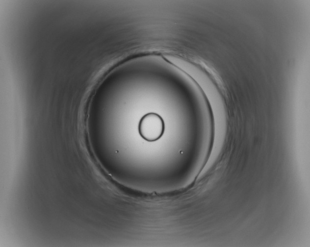 X0000113850673200910011001