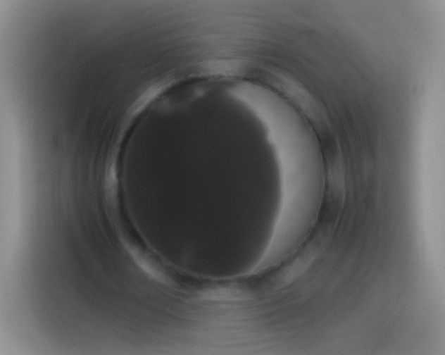 X0000113850674200910011001