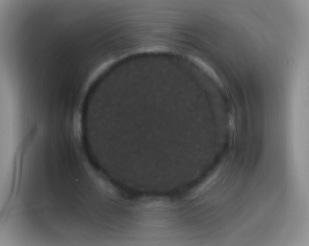 X0000113850676200910011001