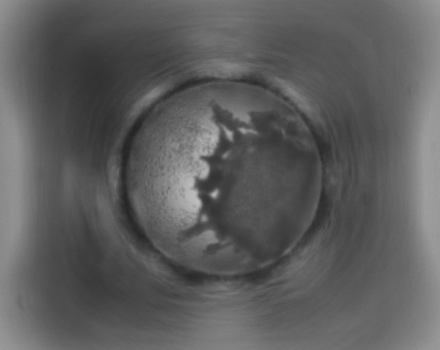 X0000113850679200910011001