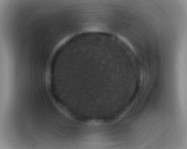 X0000113850680200910011001