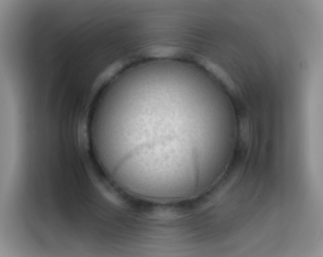 X0000113850682200910011001