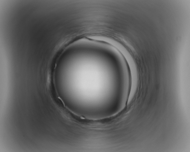 X0000113850685200910011001