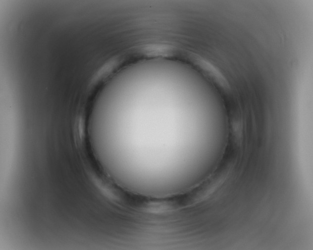 X0000113850686200910011001