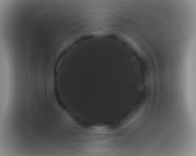 X0000113850689200910011001