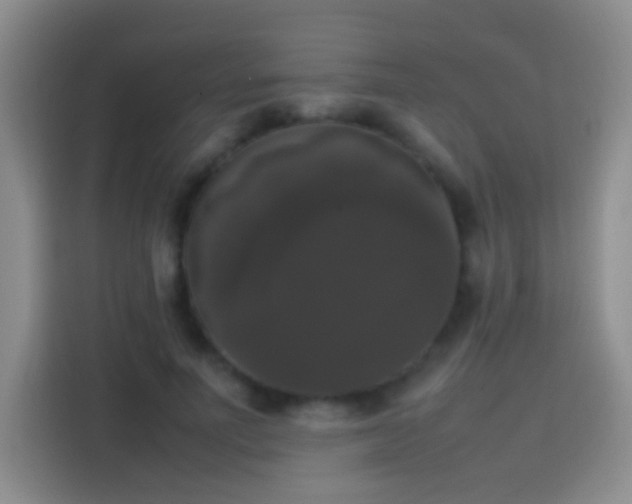 X0000113850691200910011001