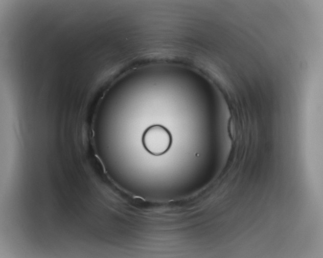 X0000113850692200910011001