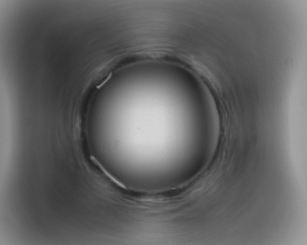 X0000113850693200910011001