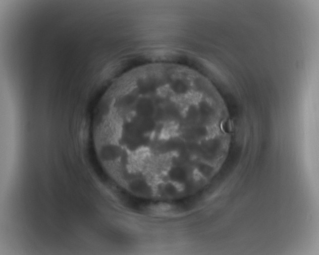 X0000113850695200910011001