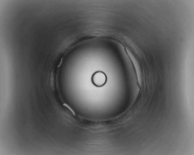 X0000113850696200910011001