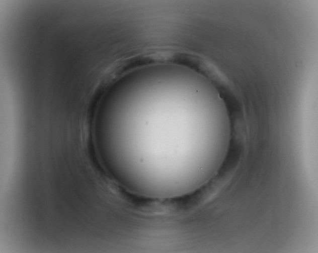 X0000113850697200910011001