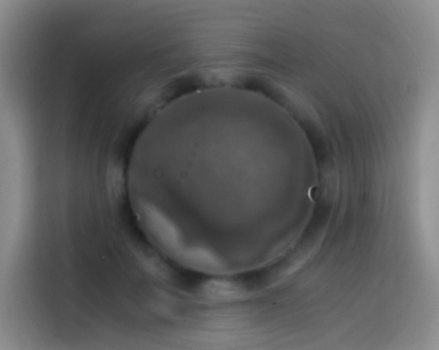 X0000113850699200910011001