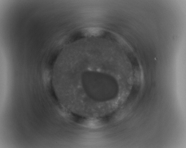 X0000113850701200910011001