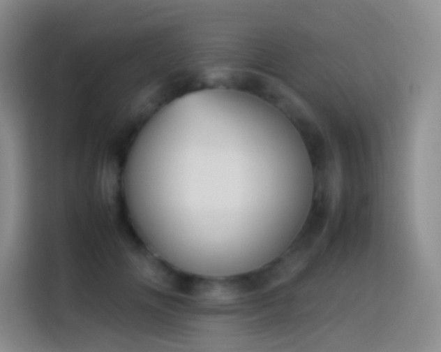 X0000113850702200910011001