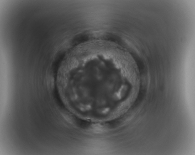 X0000113850703200910011001