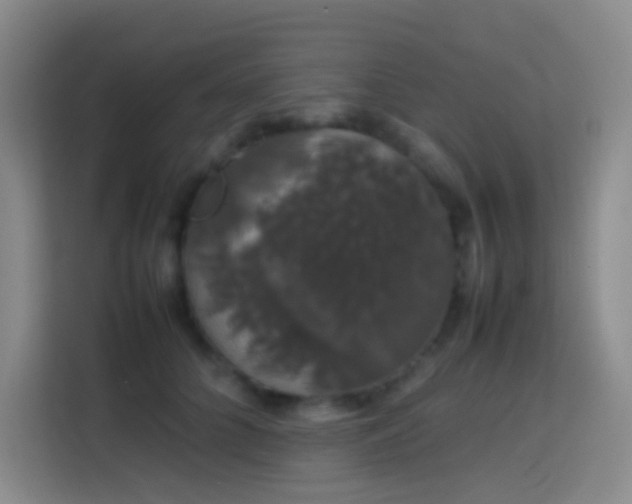 X0000113850704200910011001