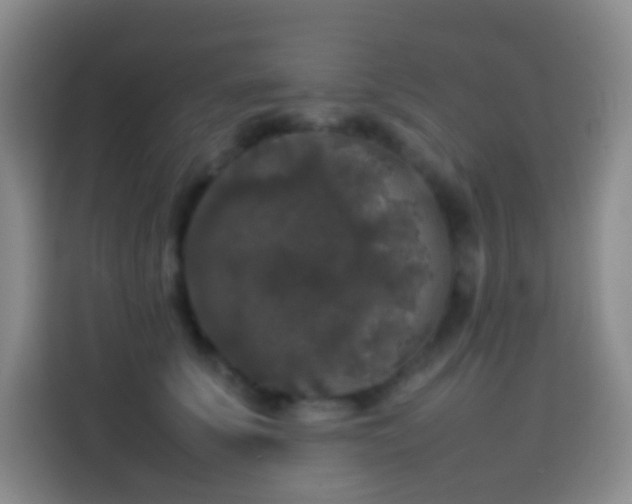 X0000113850707200910011001