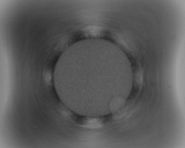 X0000113850709200910011001