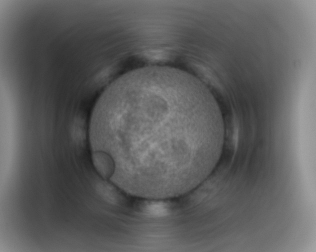 X0000113850710200910011001