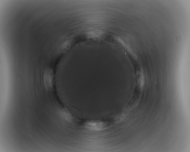 X0000113850712200910011001