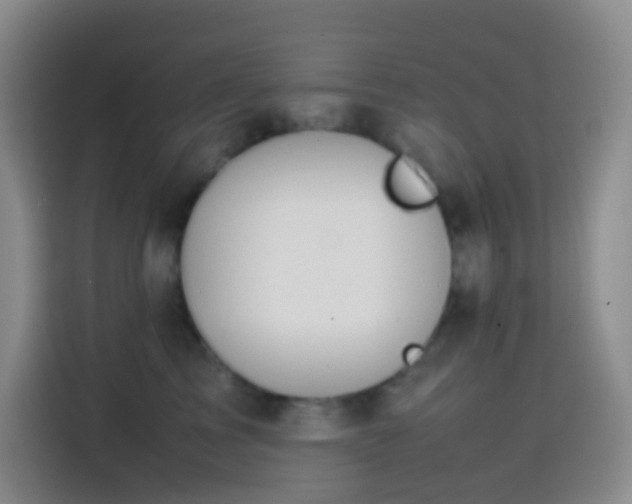 X0000113850713200910011001