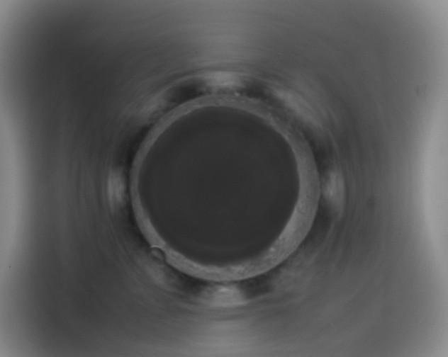 X0000113850715200910011001