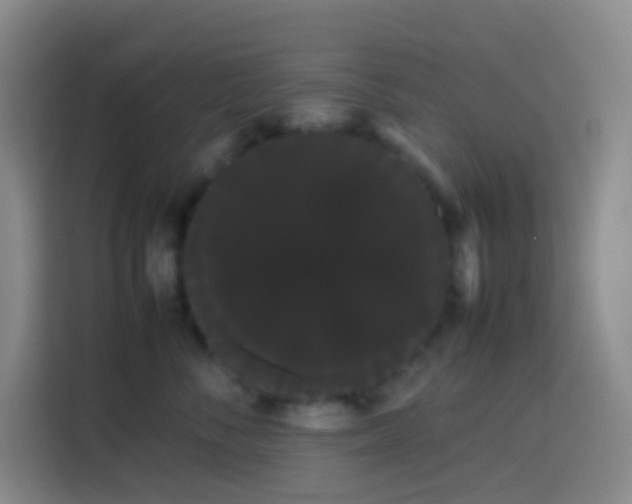 X0000113850716200910011001