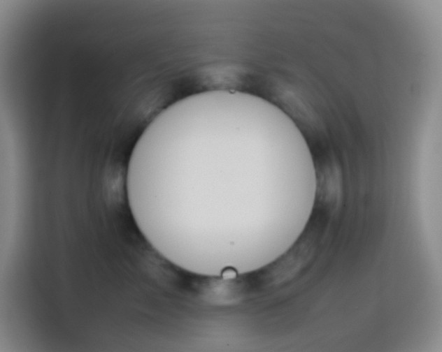 X0000113850717200910011001