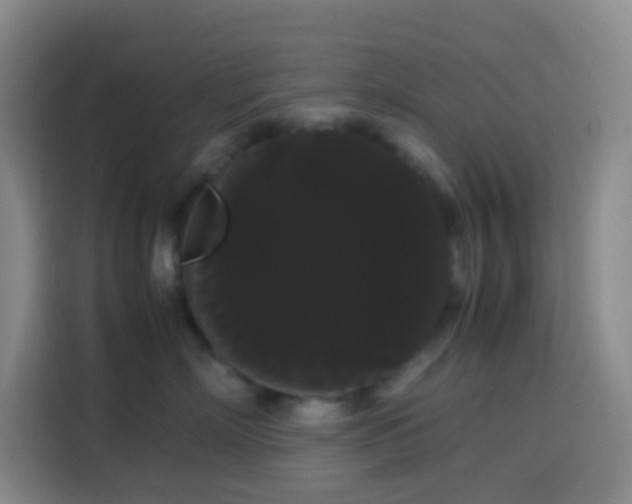 X0000113850718200910011001