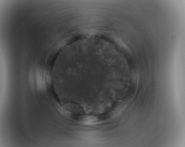 X0000113850719200910011001